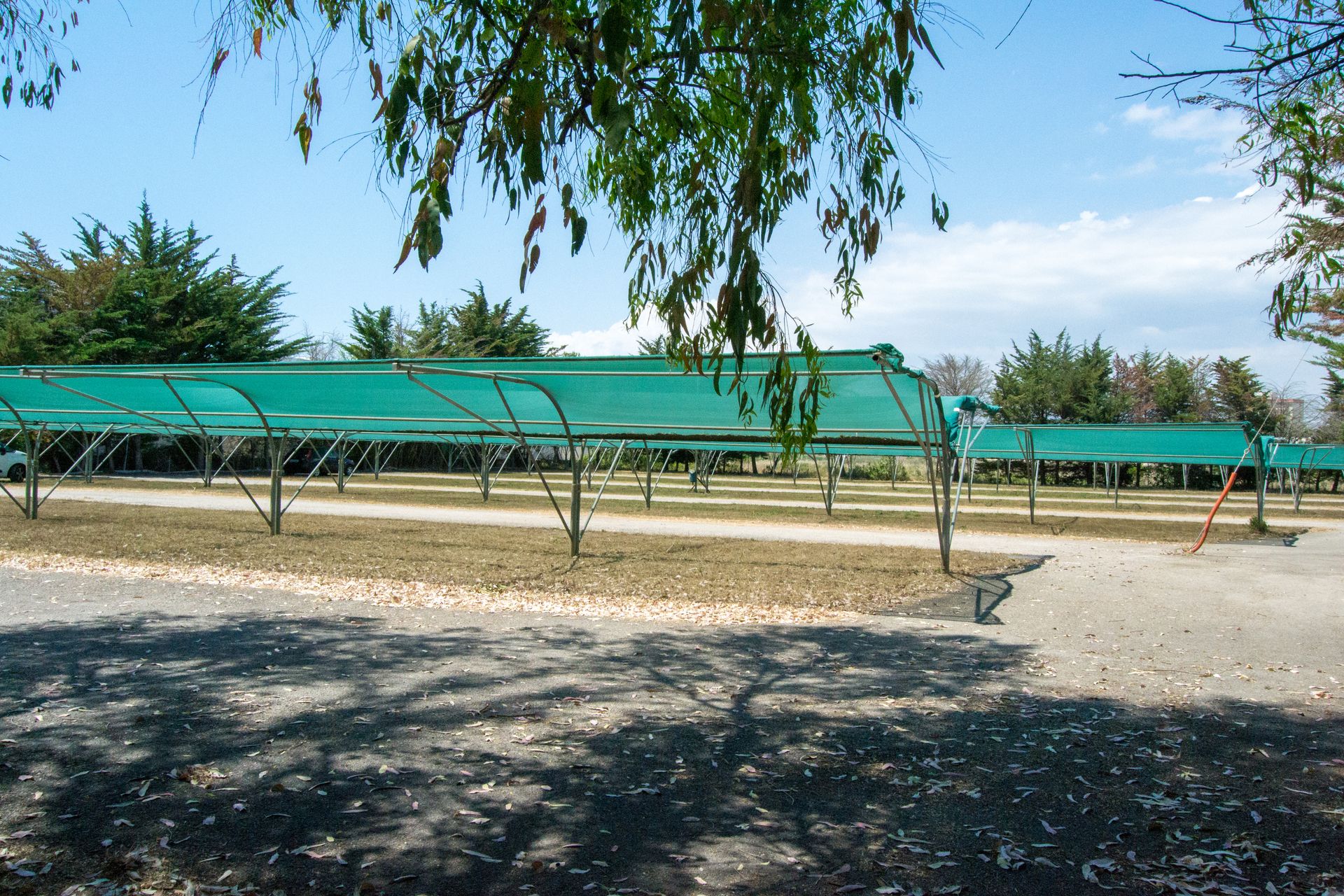 Strutture verdi che ombreggiano aree di ghiaia vuote sotto un cielo azzurro.
