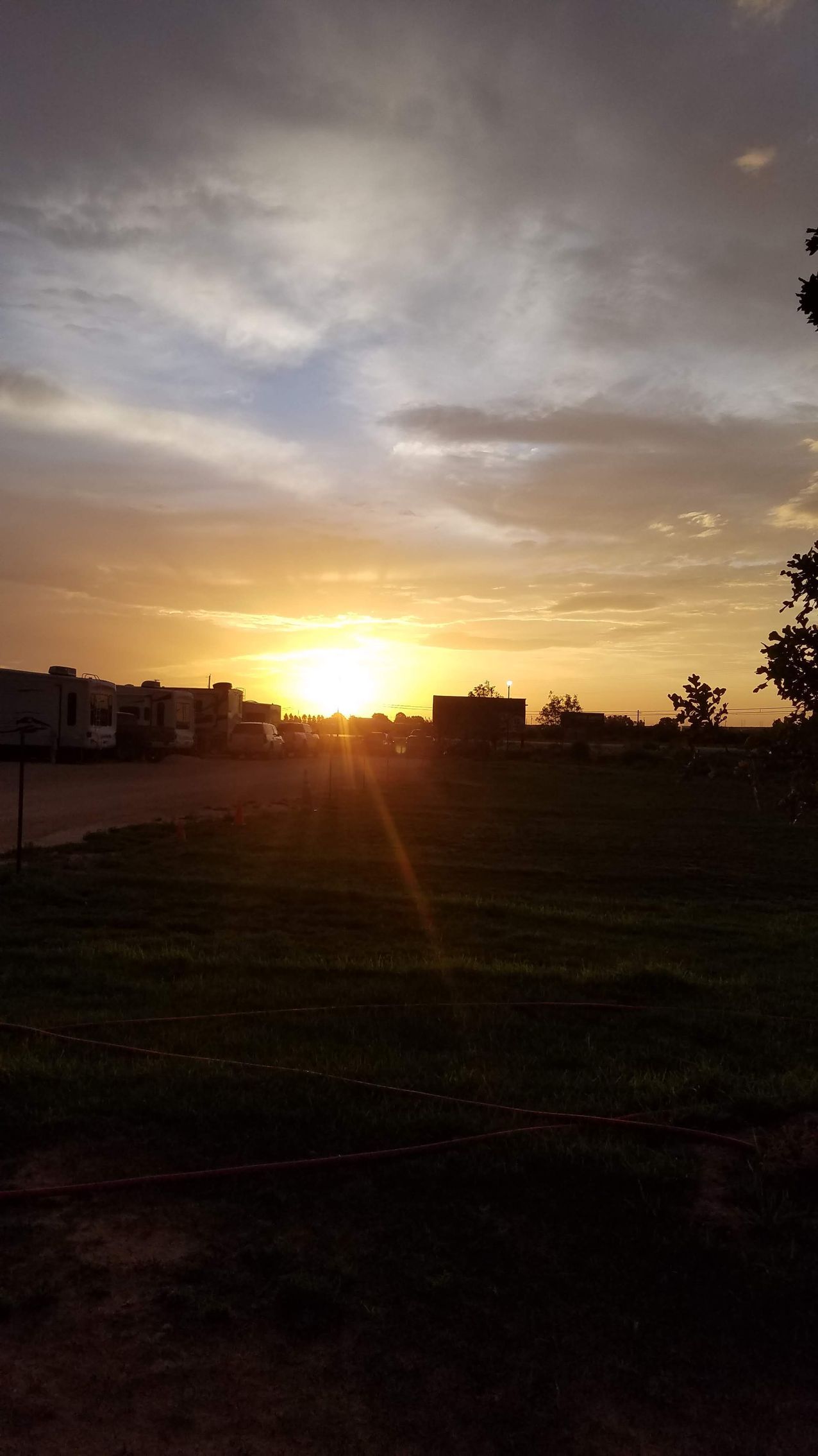 A vibrant sunset glows over a grassy field with the silhouettes of buildings in the distance.