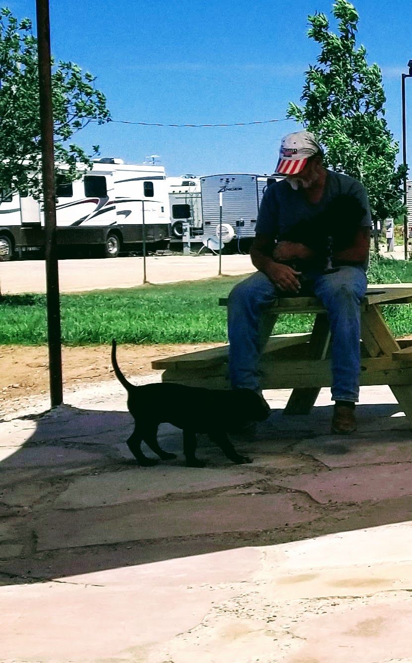 A person sits on a wooden picnic table outdoors as a small black puppy walks on the stone patio in front of them.