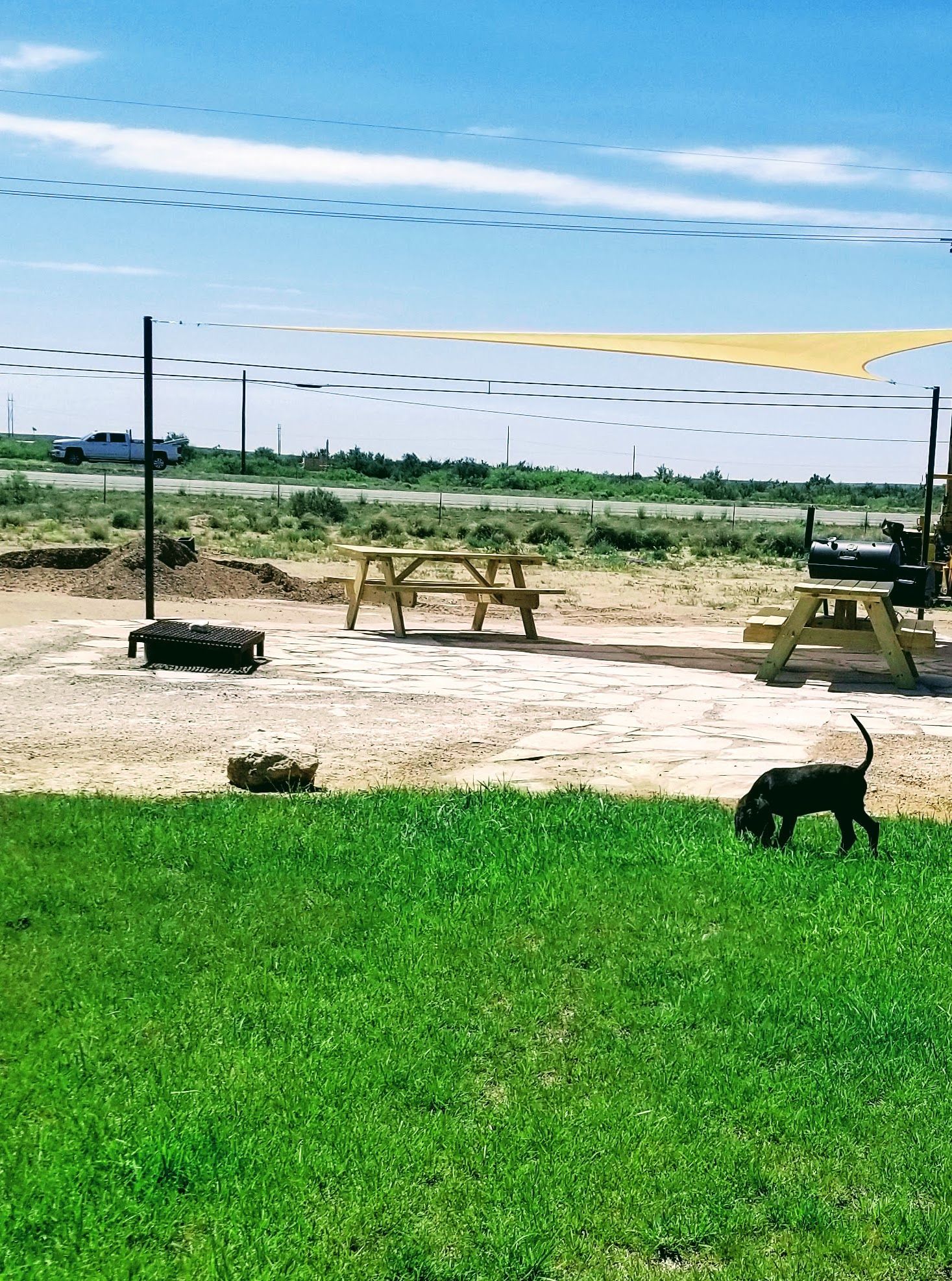 A black dog walks across a grassy yard with wooden picnic tables and a sunshade in the background.