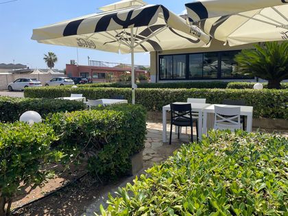 Dehor esterno di un caffè con tavolini bianchi, ombrelloni e siepi verdi, immerso nella luce del sole.