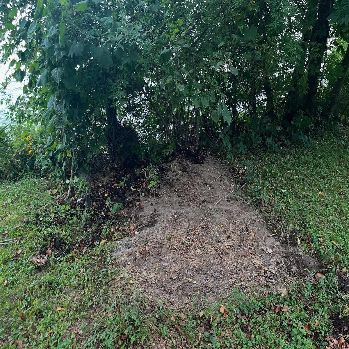 Narrow dirt path under dense green trees, bordered by grass and foliage.