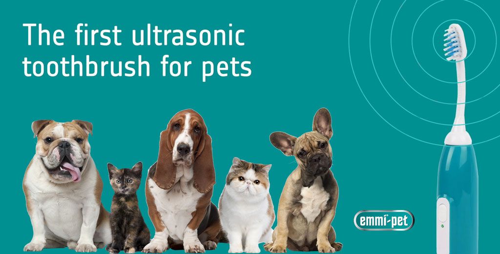 Ad for the first ultrasonic toothbrush for pets, showing four pets on a teal background and a toothbrush