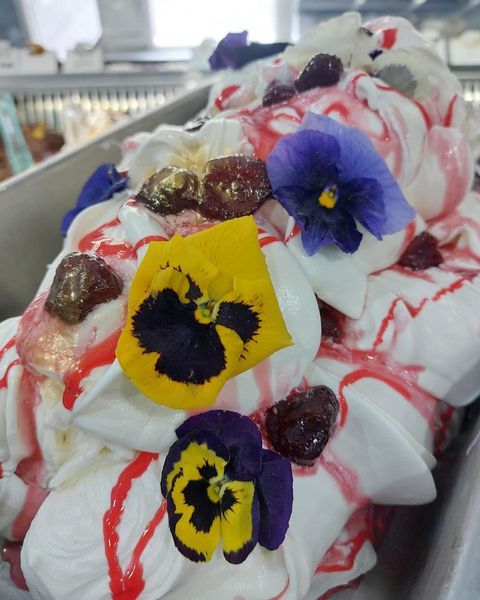 gelateria