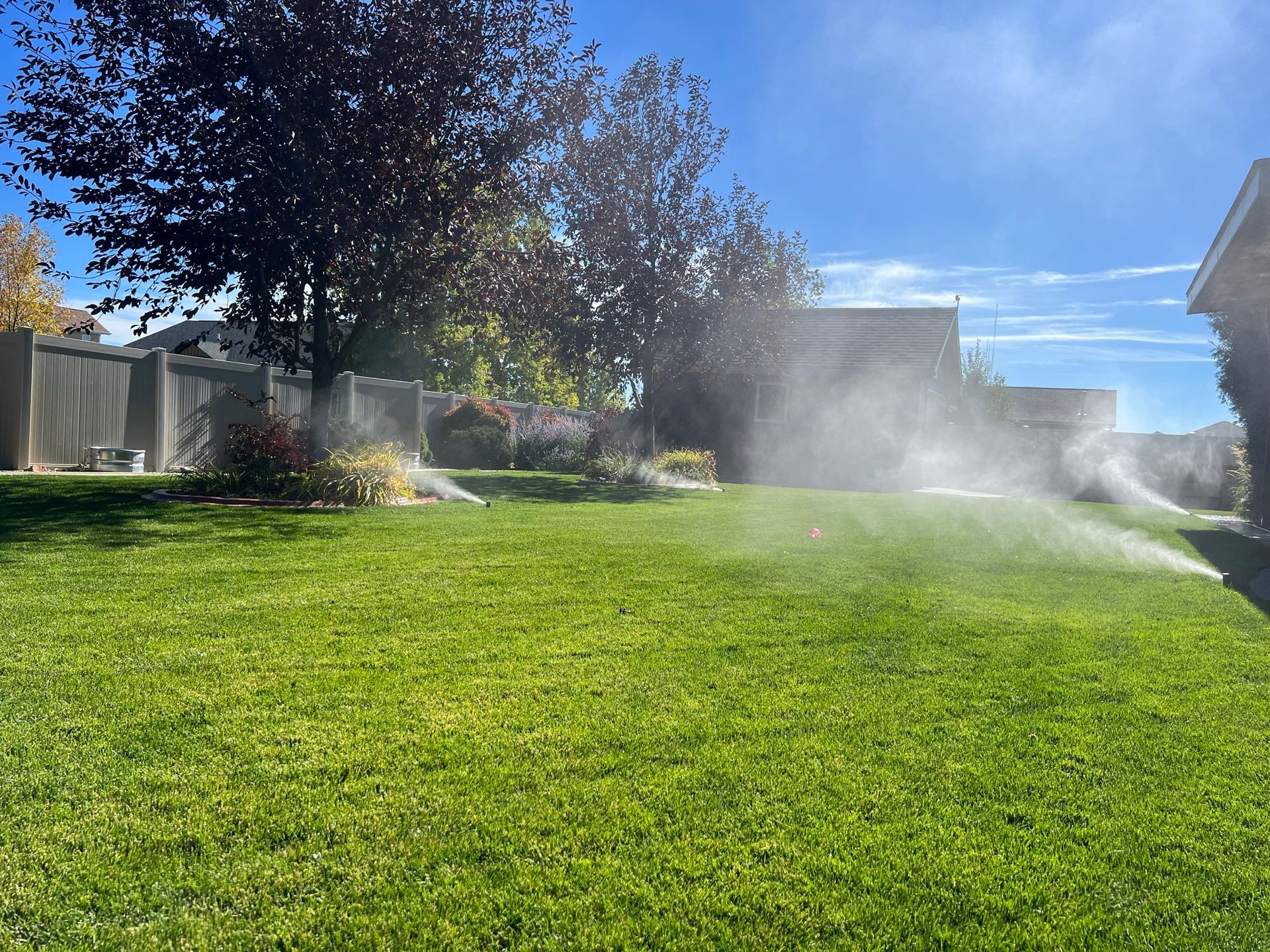 Lawn sprinklers watering a green lawn on a sunny day, with a fence, house, and trees in the background.