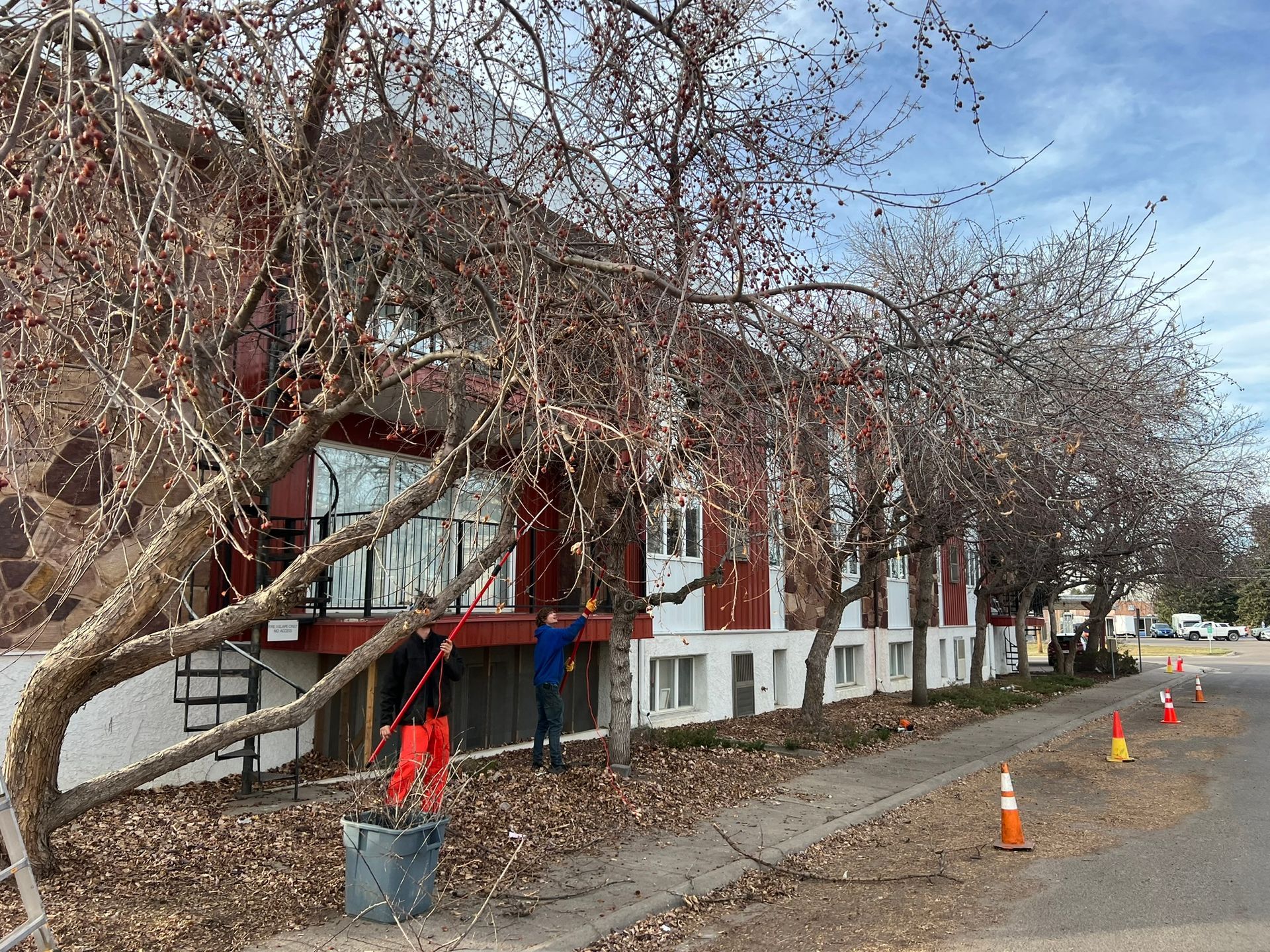 Workers prune bare tree branches next to a red and white building; cones line the street.