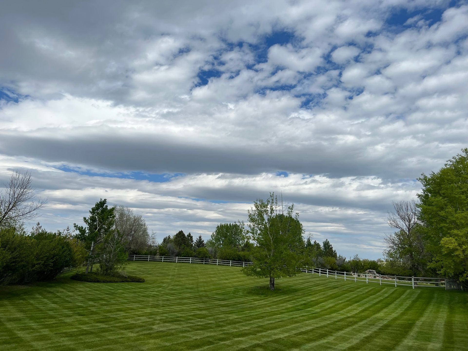 Lush green lawn with striped patterns, trees, and a cloudy sky.