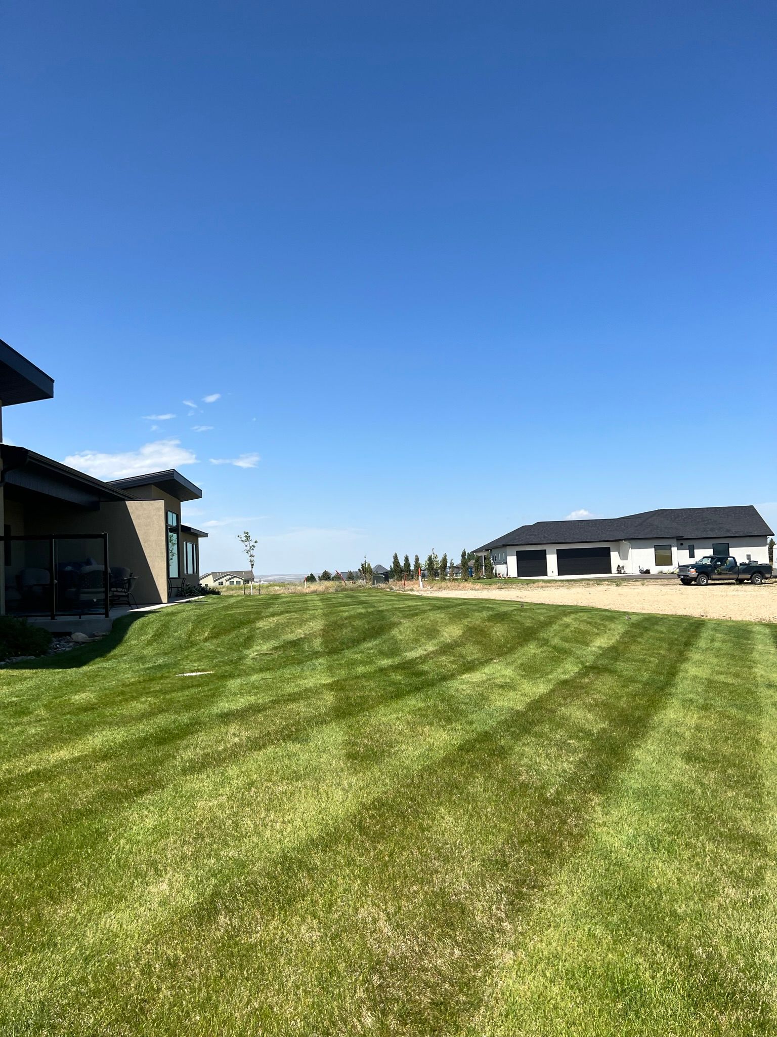 Green lawn with mowing stripes under a blue sky, modern houses in the background.
