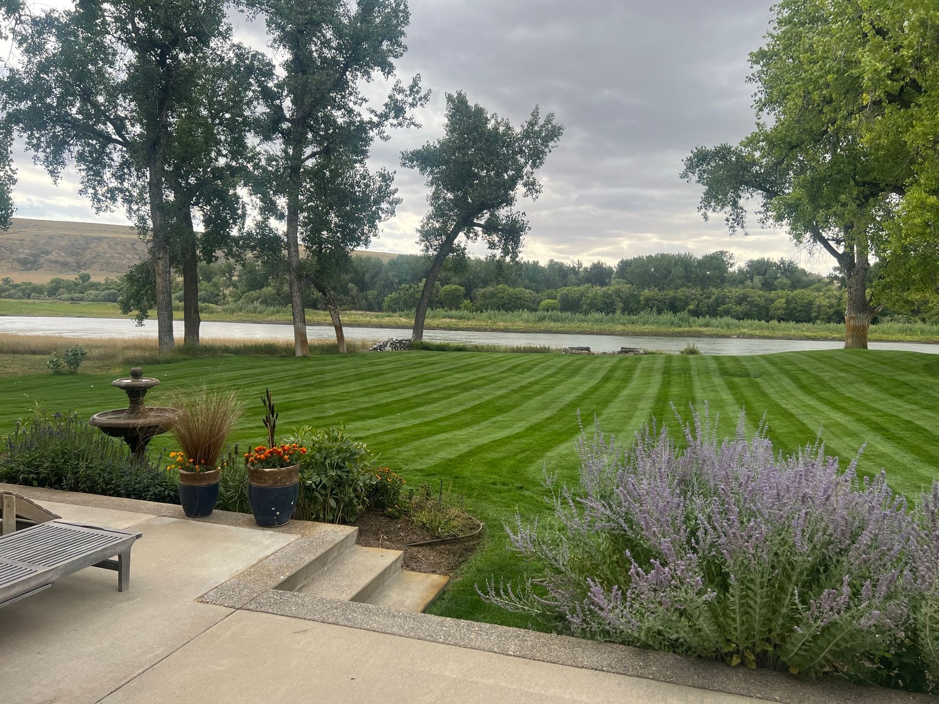 Lush green lawn striped by mowing, bordered by purple flowers and a river. Cloudy day, trees in the background.