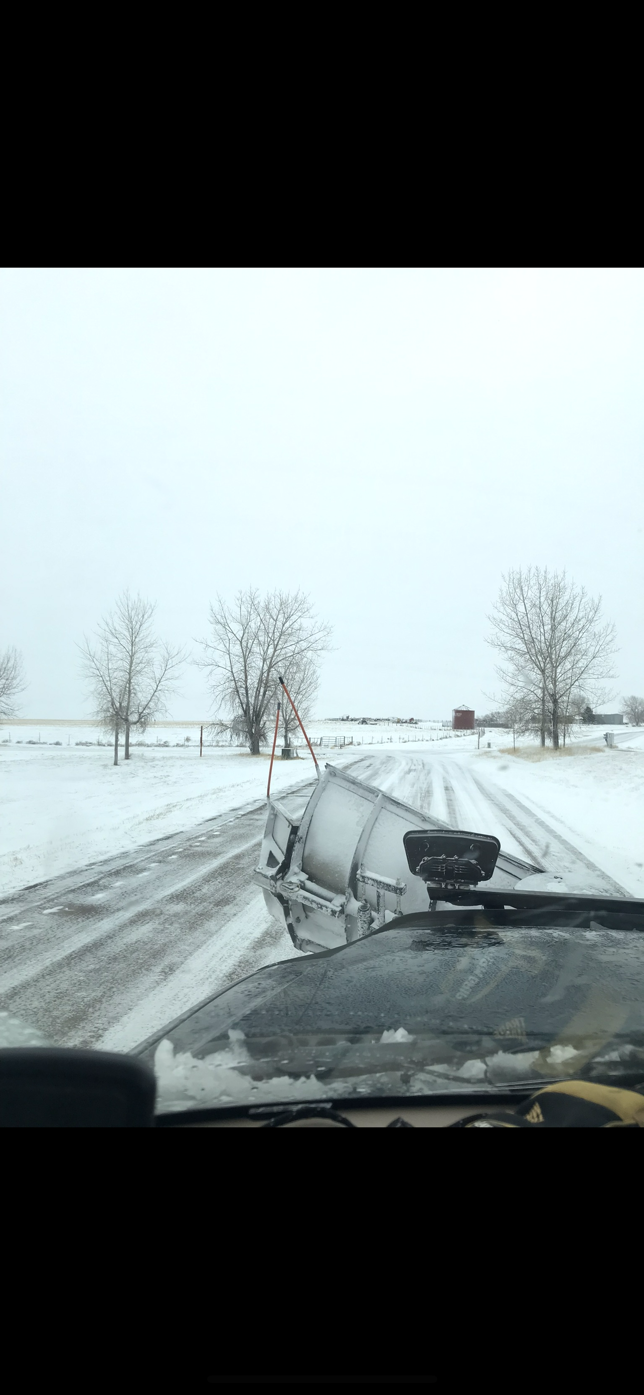 Snow-covered road, view from inside a vehicle. Bare trees line the road. Overcast, wintery scene.