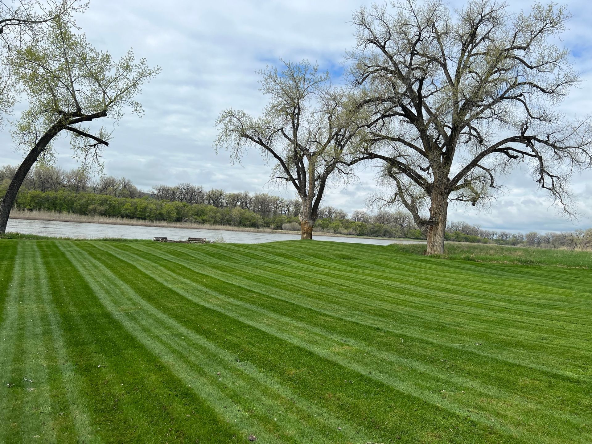 Lawn with mowing stripes slopes down to a river; large trees stand in the background under a cloudy sky.