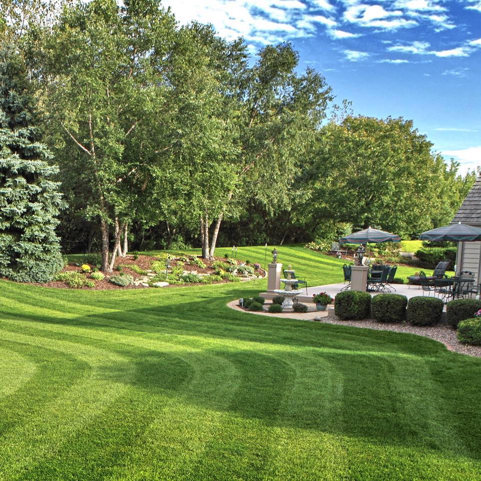 Lush green backyard with a patterned lawn, trees, patio with umbrellas, and a fountain under a blue sky.