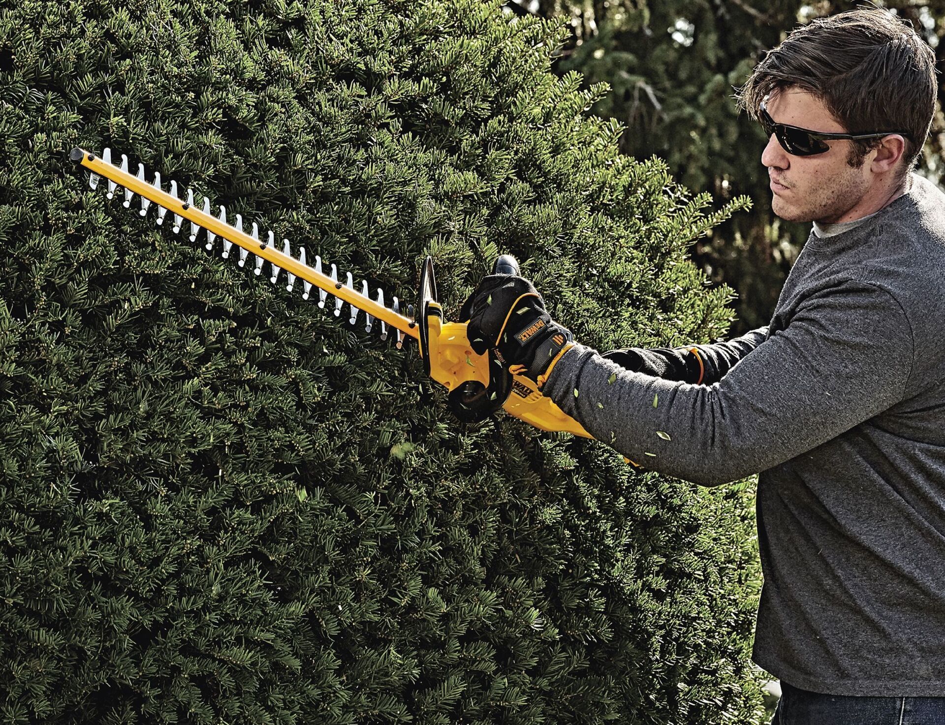 Man using a yellow and black hedge trimmer to trim a green bush outdoors.