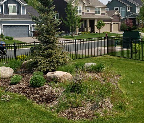 Black metal fence surrounds a garden with rocks and a small pine tree in a suburban neighborhood.