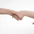 Two hands shaking against a white background
