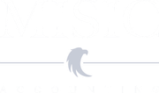 Minimal gray logo centered on a white background with a thin horizontal line