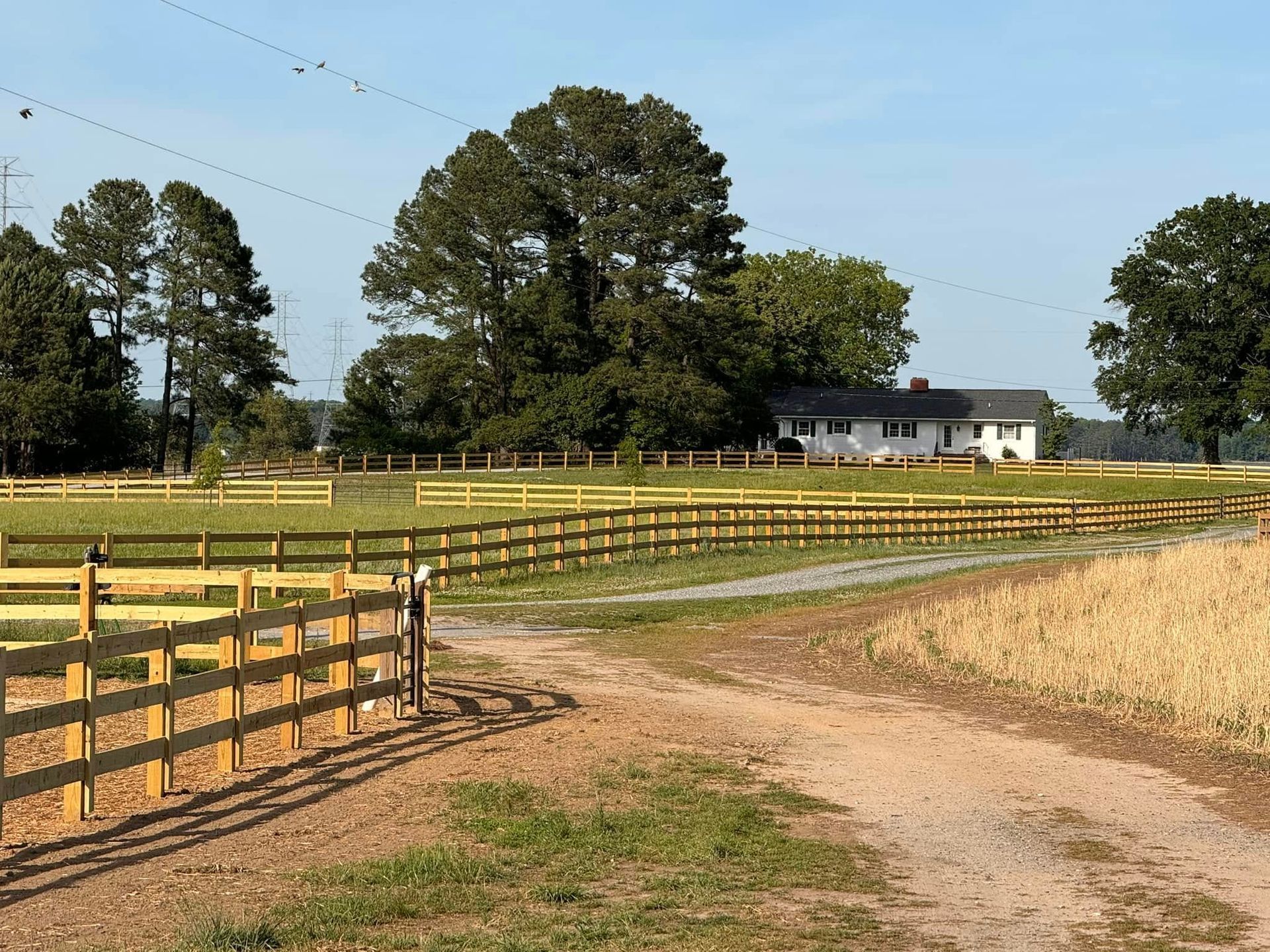 Country driveway with wooden fences leading to a white farmhouse amid open fields and trees under a clear sky