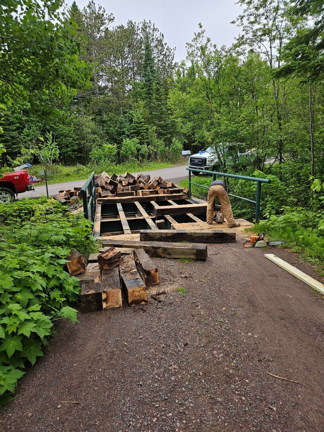 Wooden pallet walkway beside stacked firewood in a green wooded yard