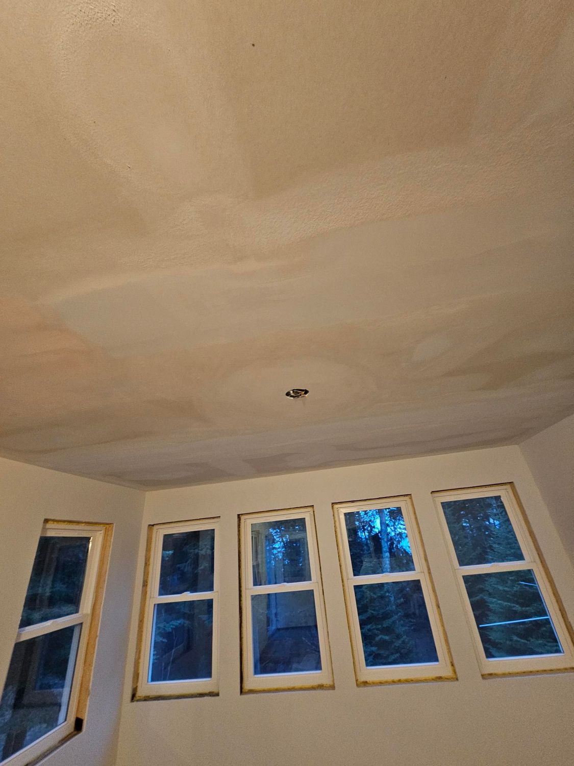 Ceiling and row of white-framed windows in a room, with trees visible outside.