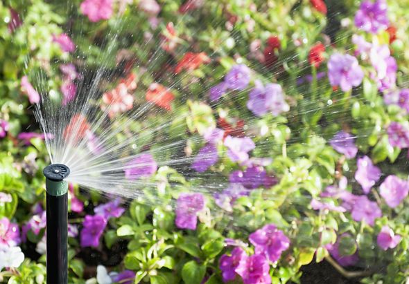 Watering Beautiful Flowers With Sprinkler — Clearwater, FL — Happy Homes and Yards Irrigation & Landscaping Watering Beautiful Flowers With Sprinkler — Clearwater, FL — Happy Homes and Yards Irrigation & Landscaping