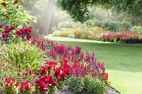Beautiful Flowers In Yard — Clearwater, FL — Happy Homes and Yards Irrigation & Landscaping Beautiful Flowers In Yard — Clearwater, FL — Happy Homes and Yards Irrigation & Landscaping