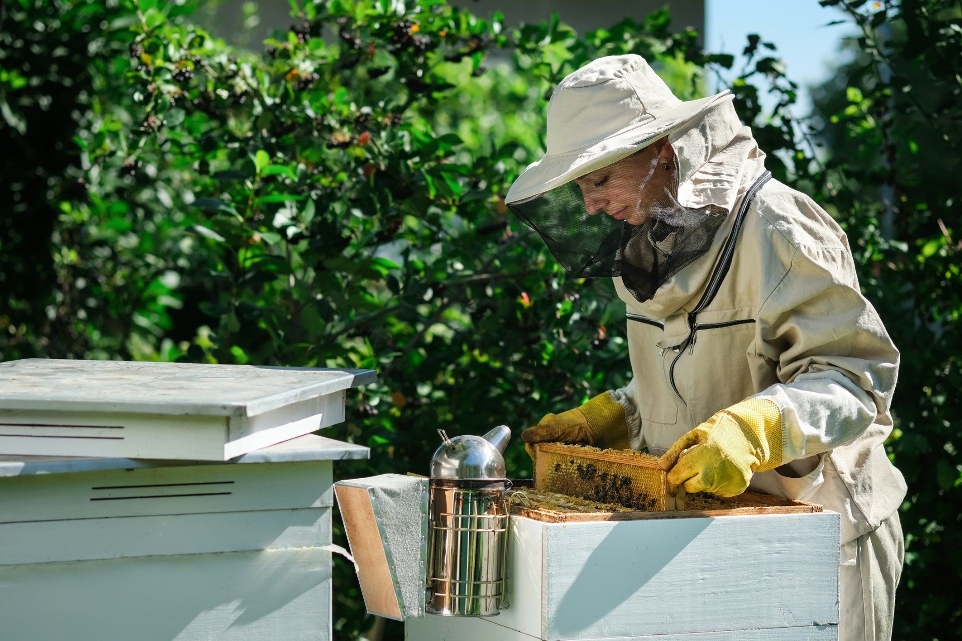Young Beekeeper Girl — Clearwater, FL — Happy Homes and Yards Irrigation & Landscaping