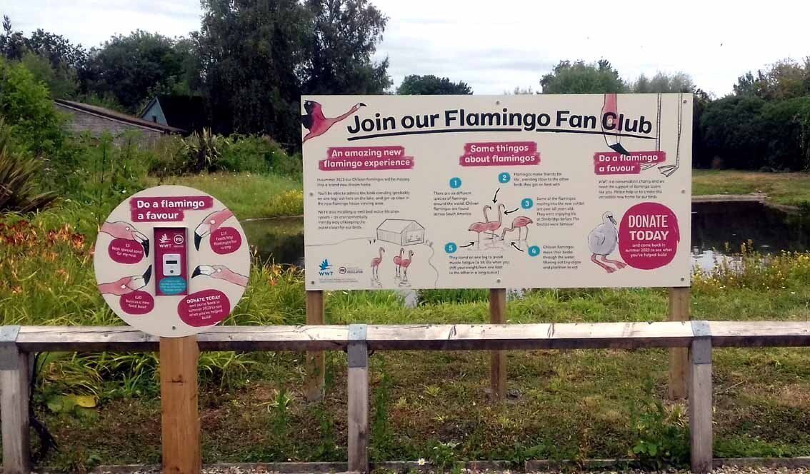 A sign that says join our flamingo fun club on it