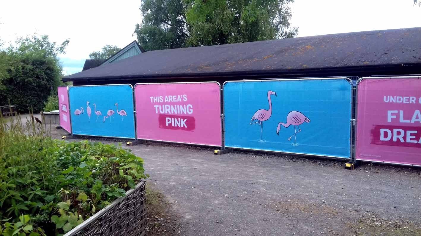 A pink and blue banner with a flamingo on it is sitting in front of a building.