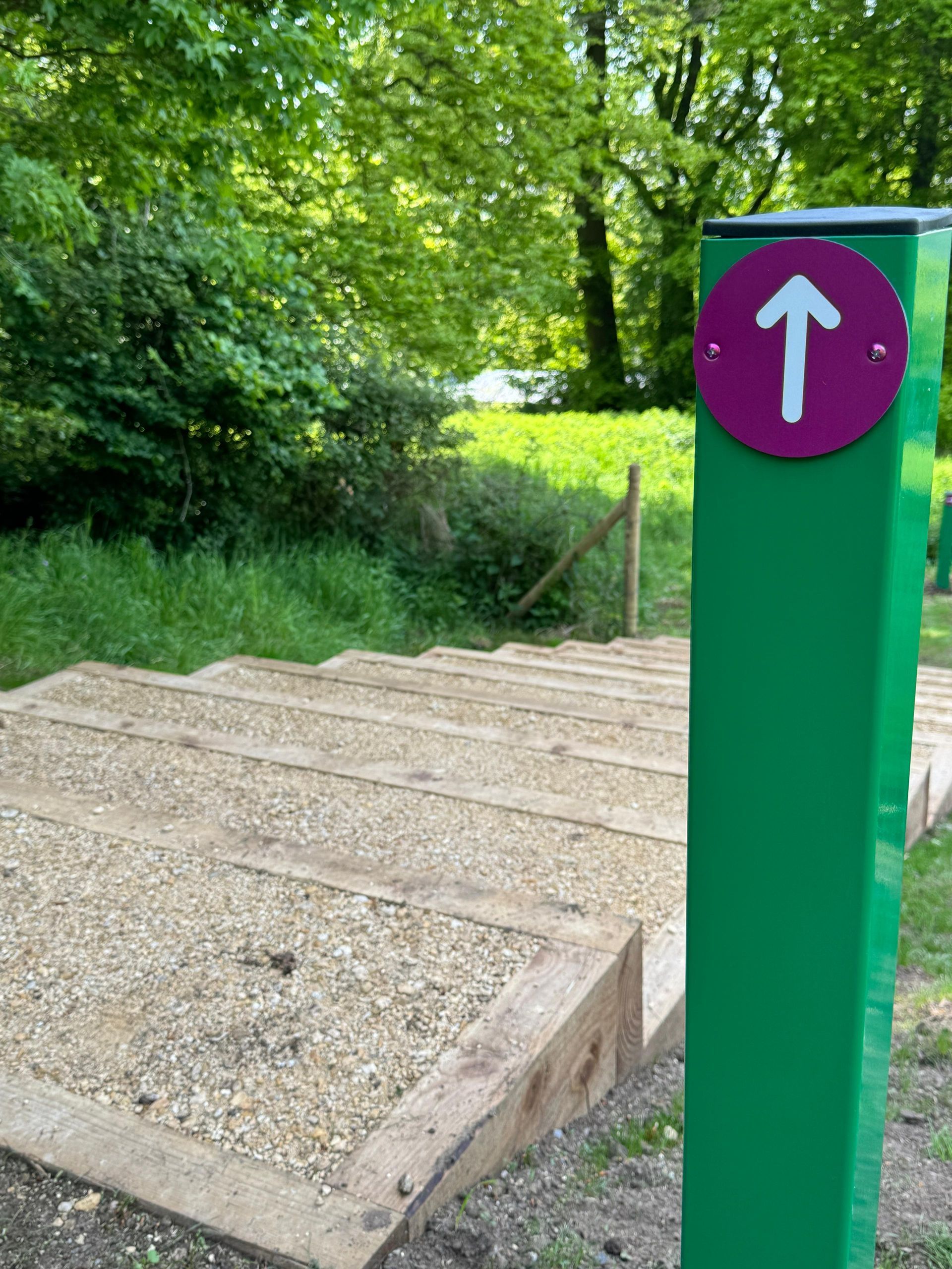 A green pole with a purple arrow pointing up