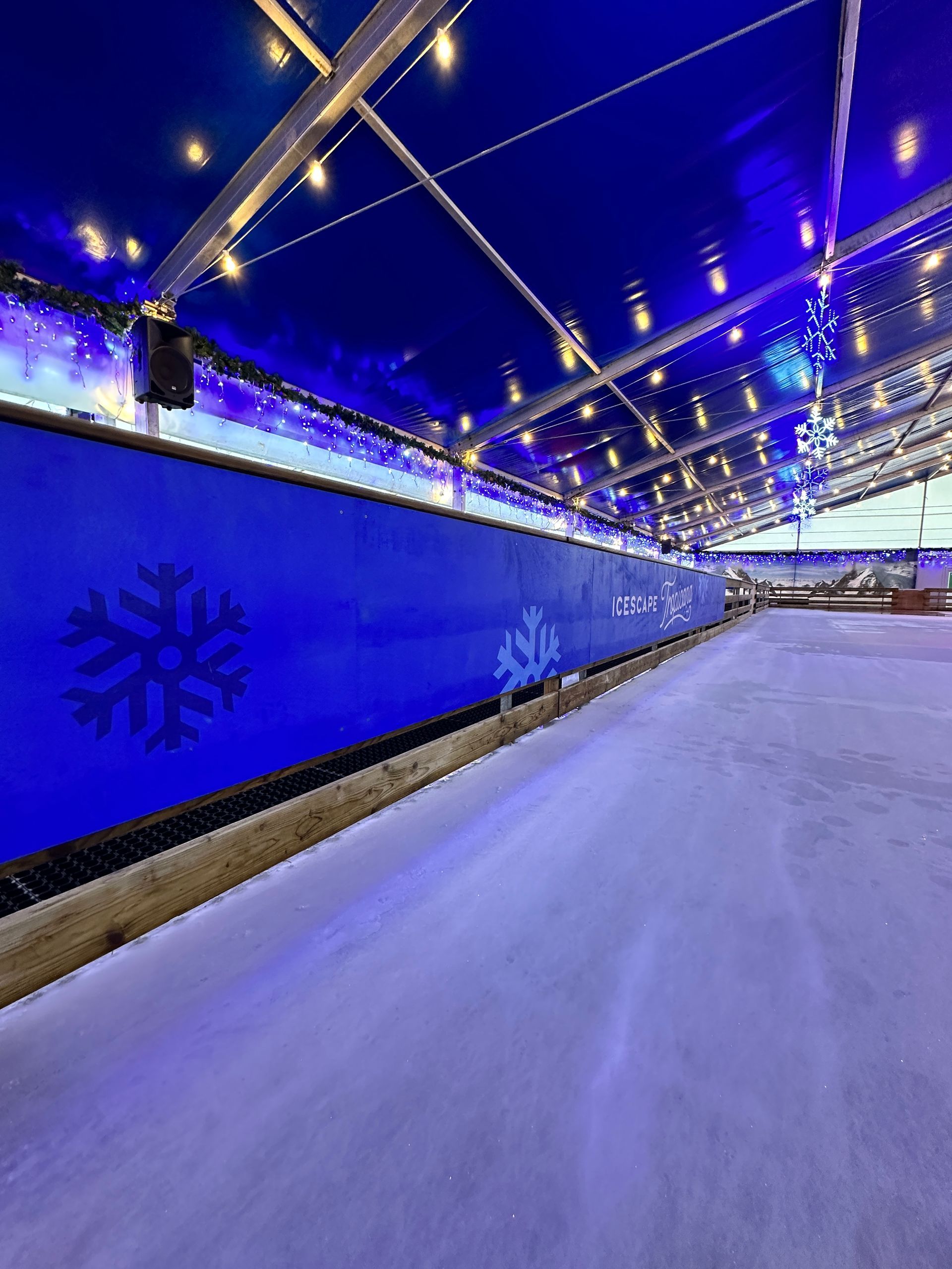 A large ice rink with a blue roof and snowflakes on it.