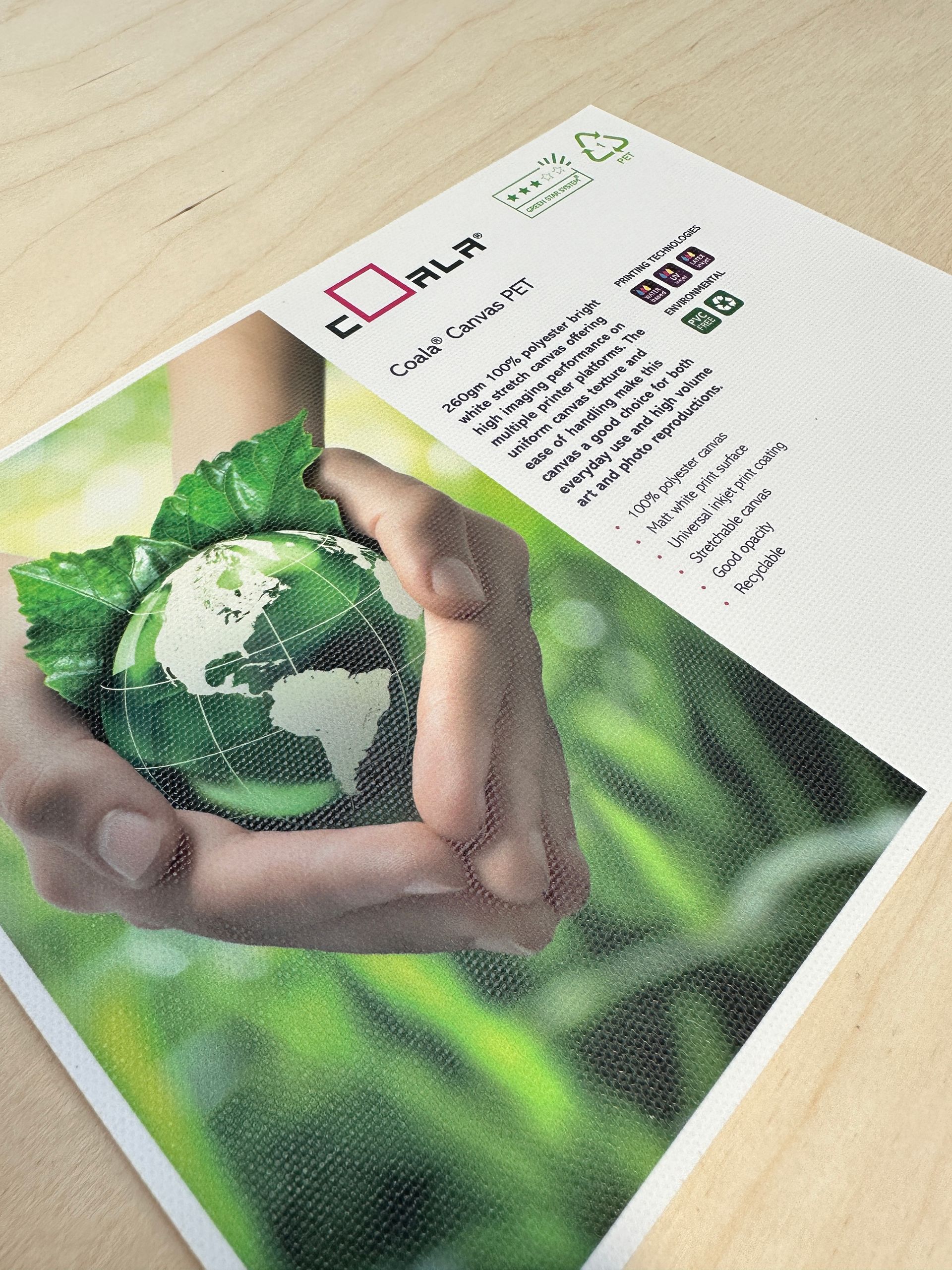 A person is holding a green globe in their hands