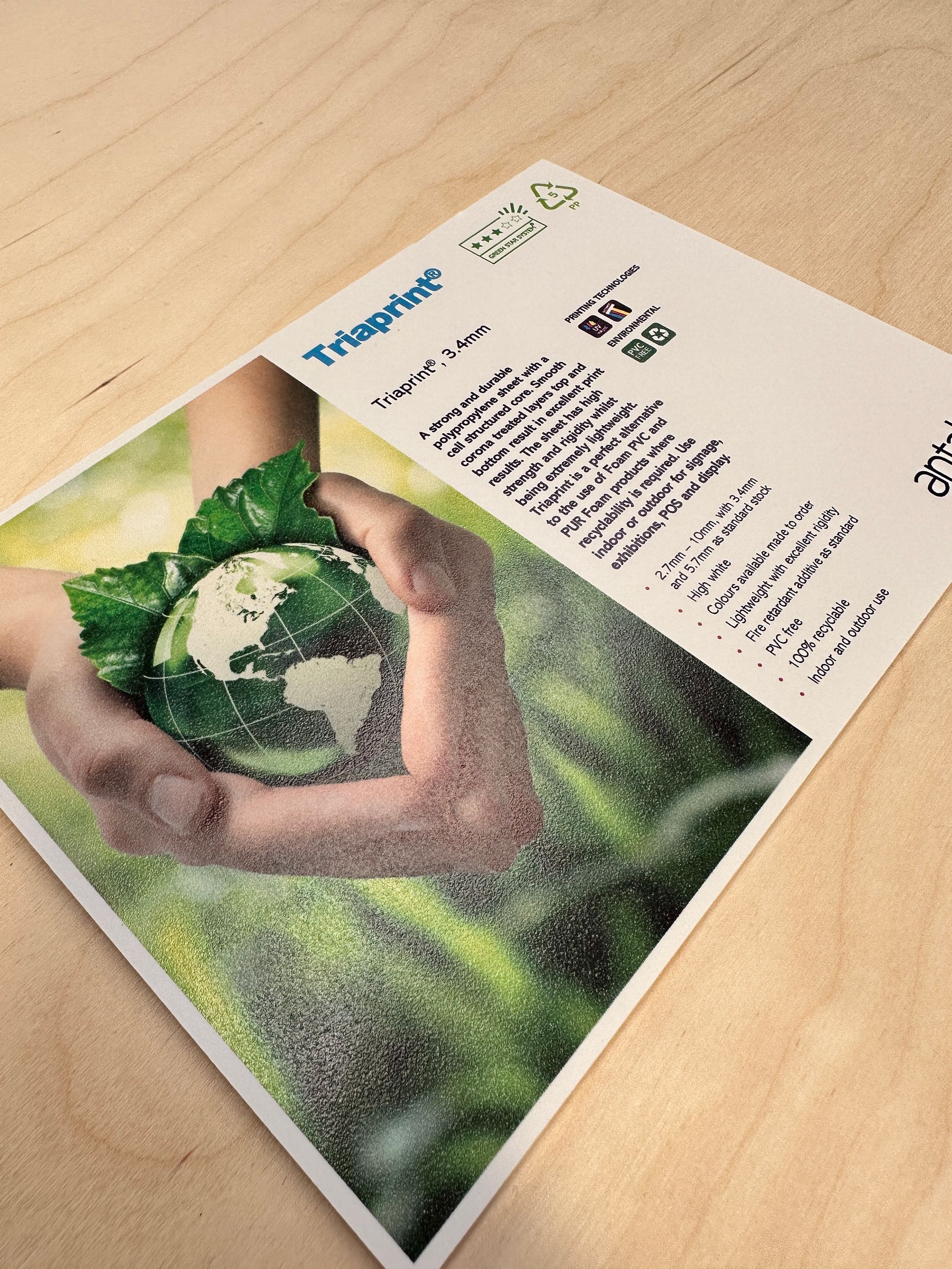 A person is holding a cauliflower in their hands on a piece of paper.