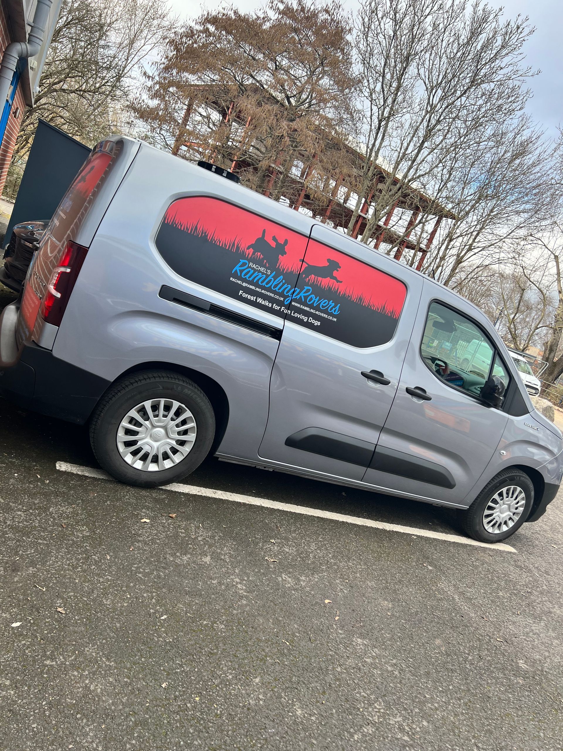 A gray van is parked in a parking lot.