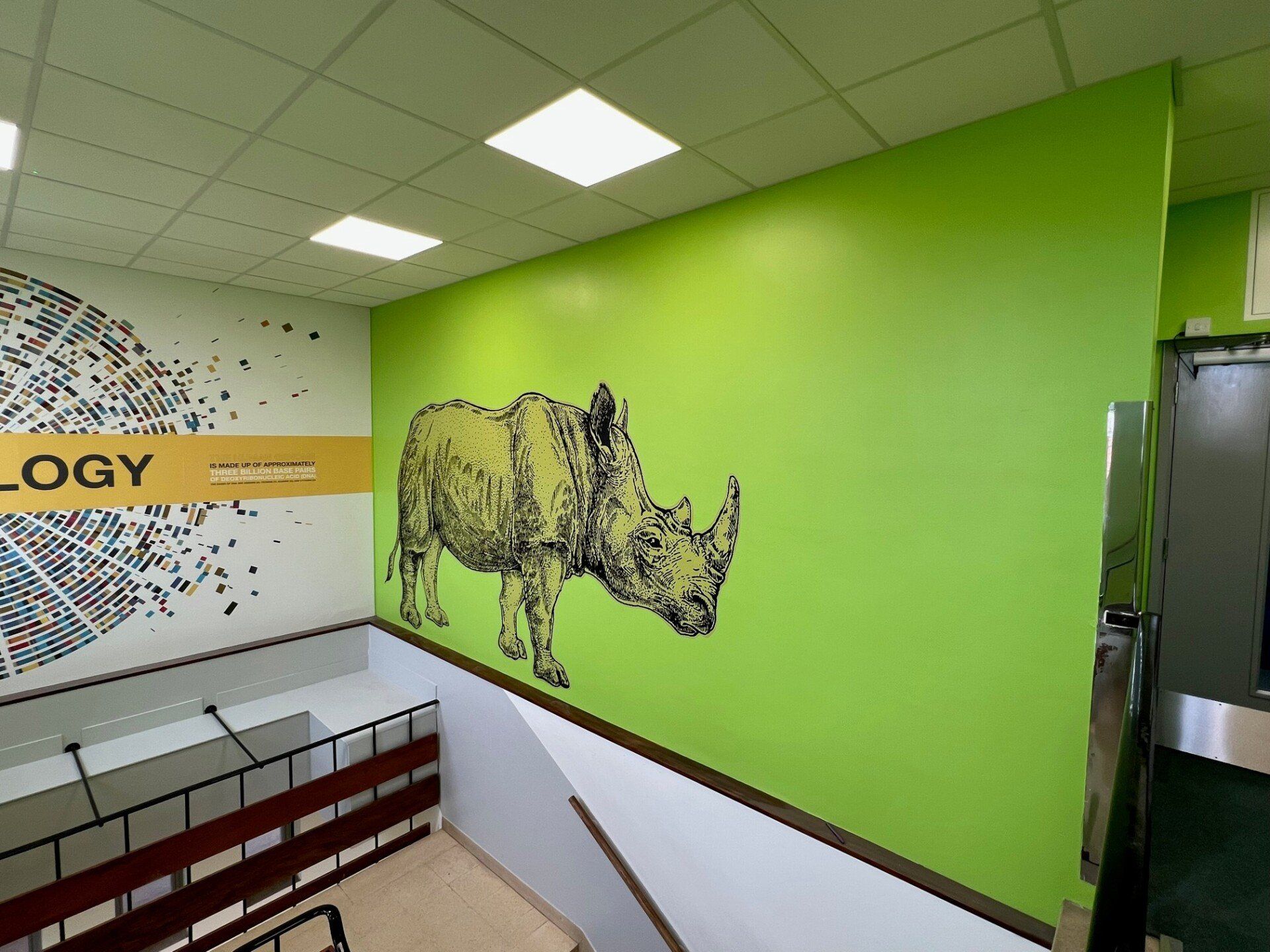 A green wall with a picture of a rhino on it