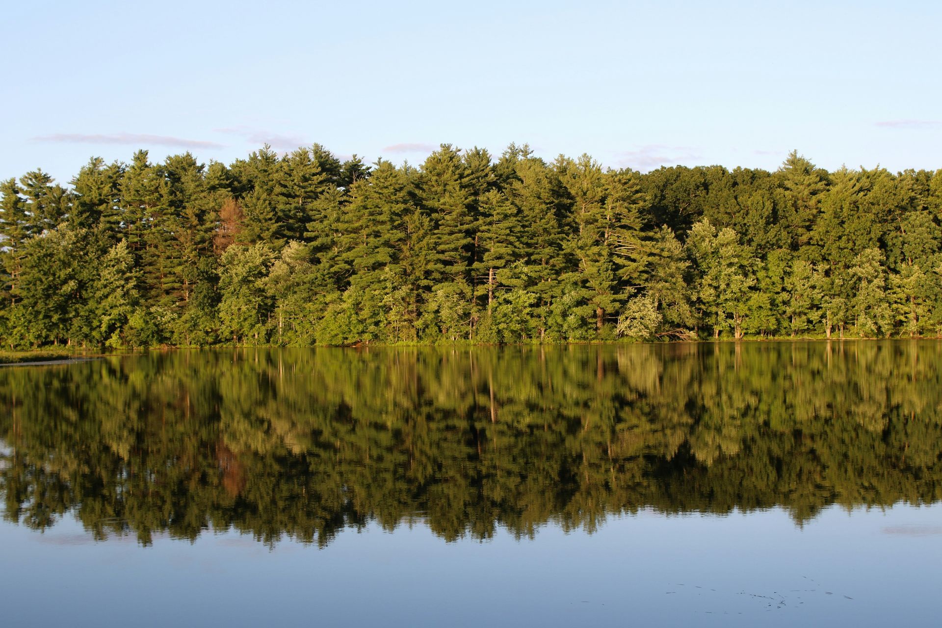 A lake with trees on the shore and trees reflected in the water