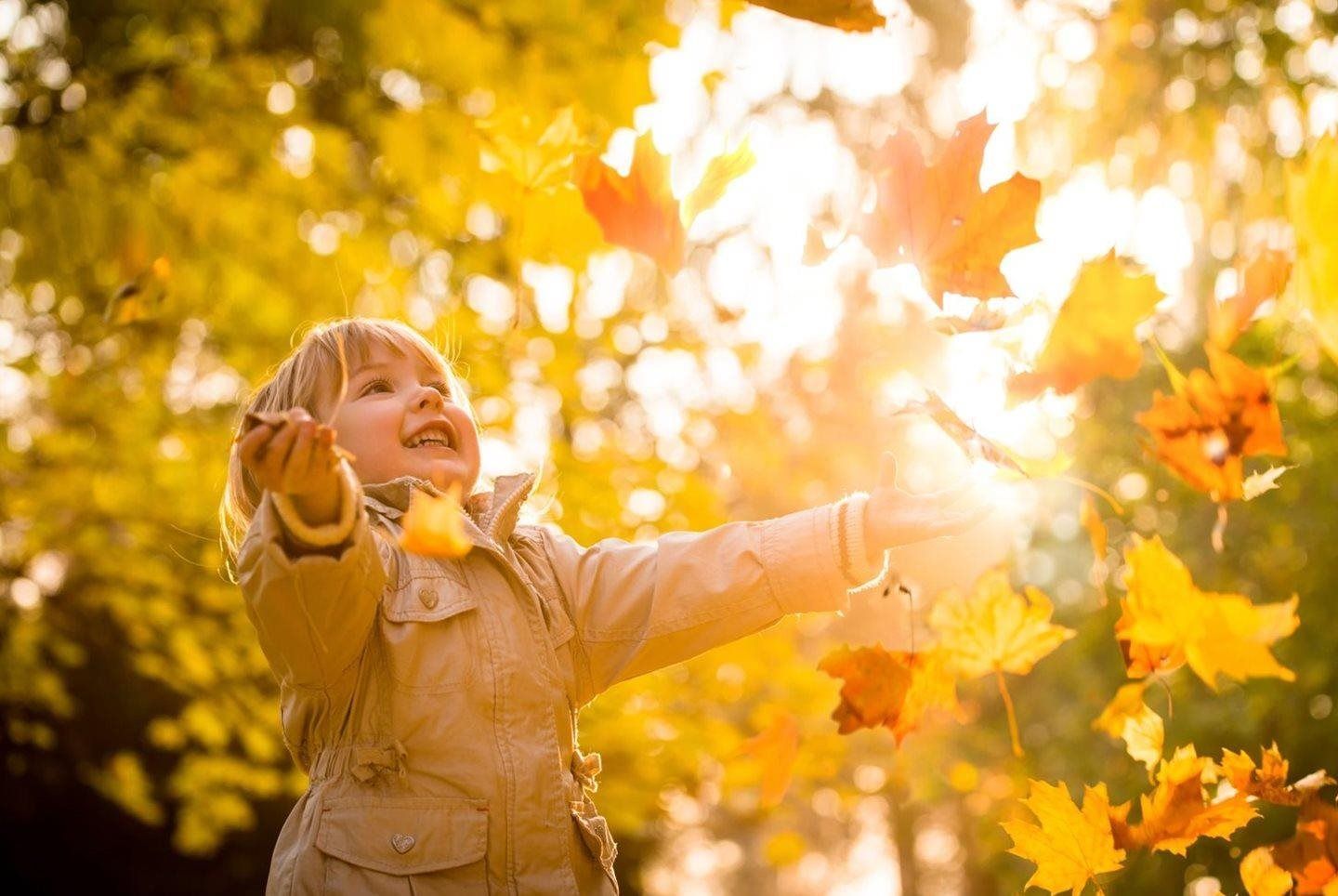 Child reaching for falling autumn leaves in a golden sunlit park