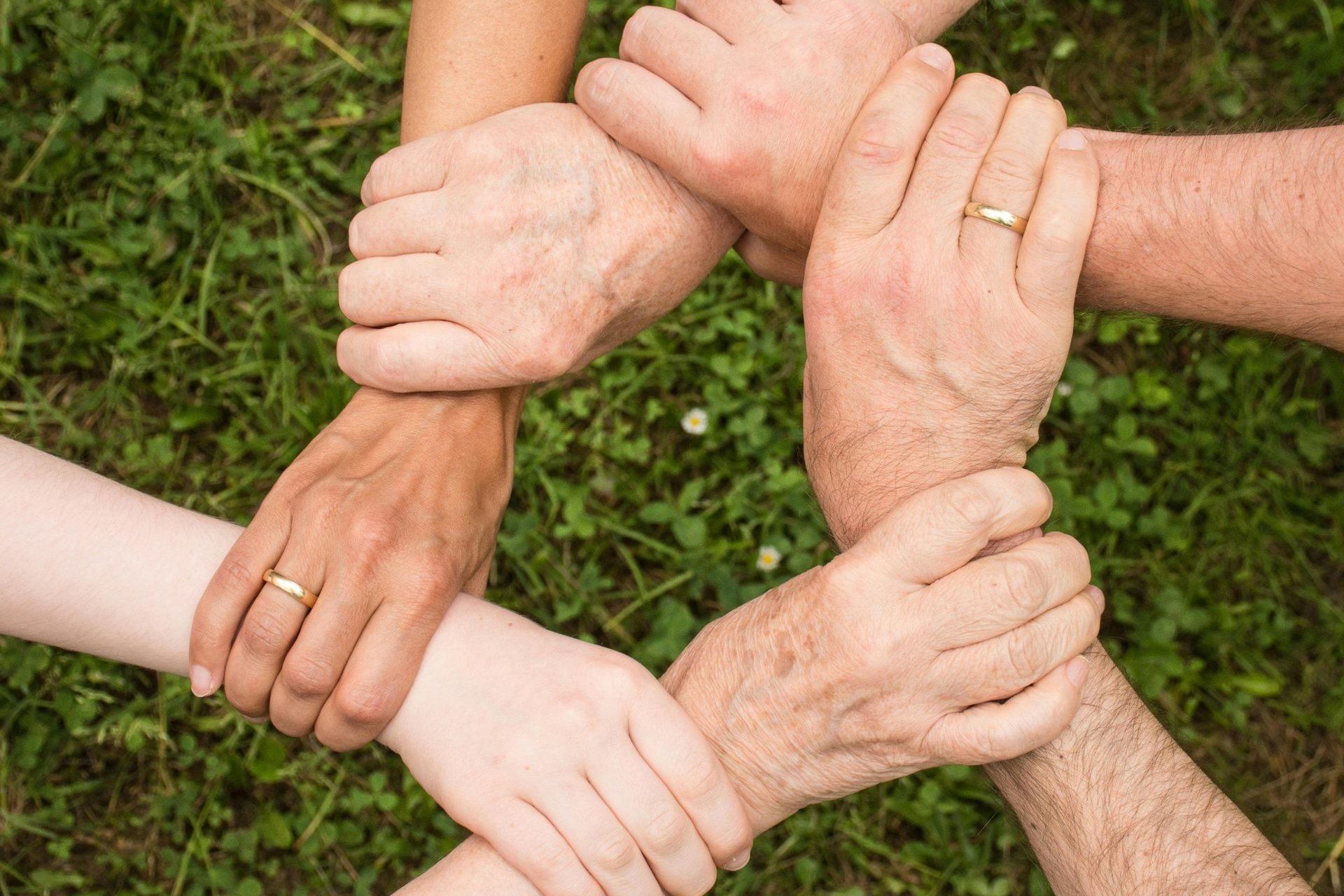 Hands of diverse people joined together in a circle, symbolizing unity and teamwork on green grass.