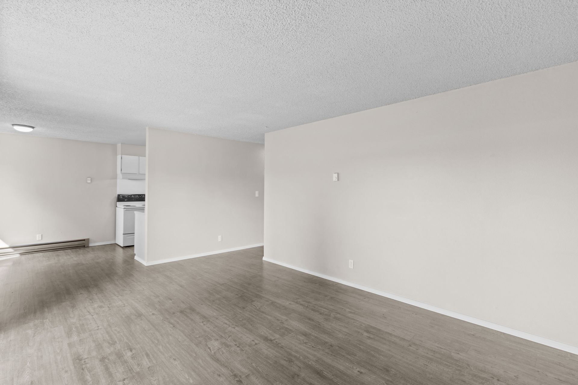 Spacious living room