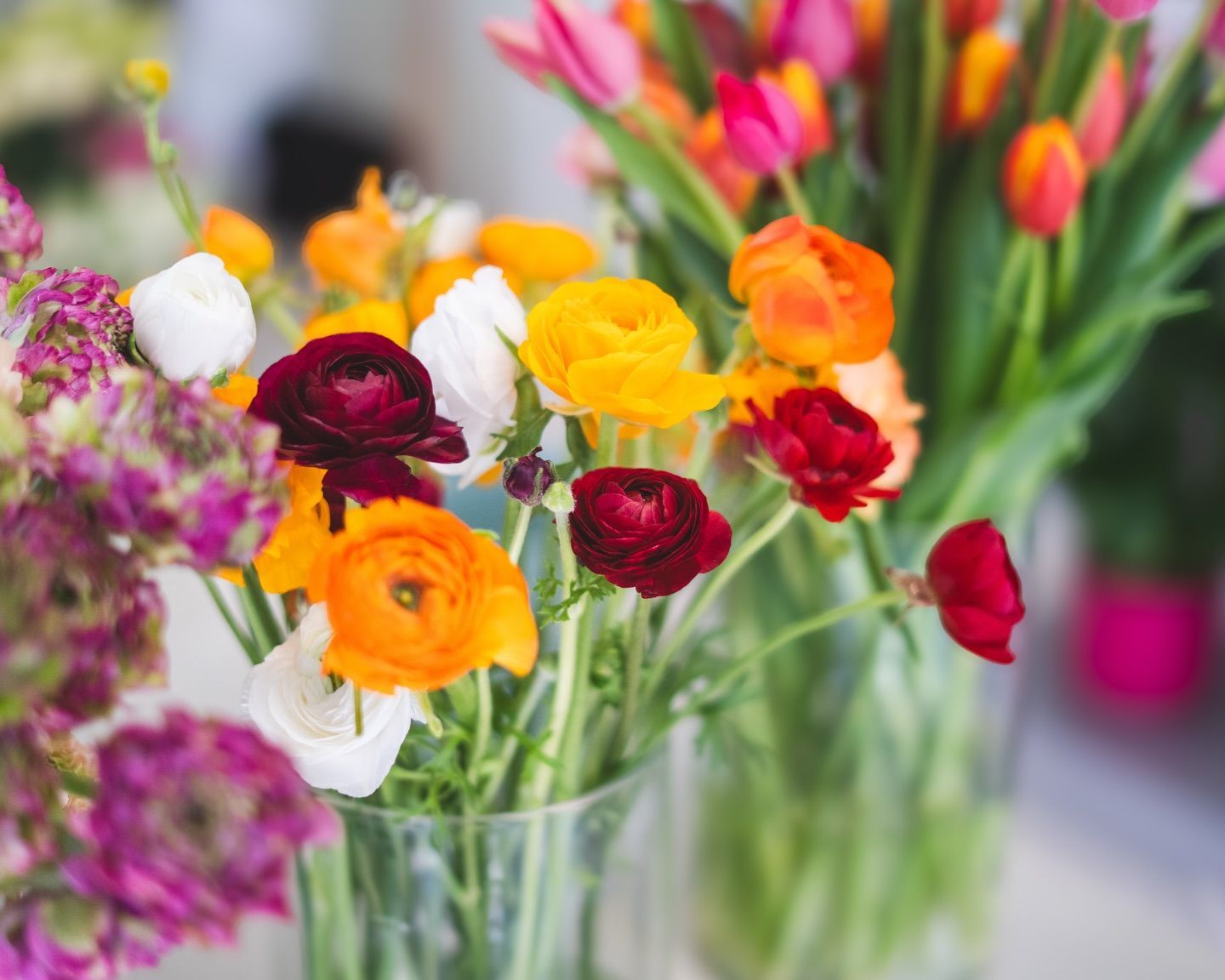 fiori