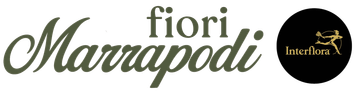 logo Fiori Marrapodi