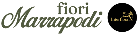 Logo Petali e Capricci