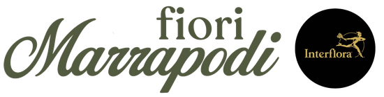 logo Fiori Marrapodi