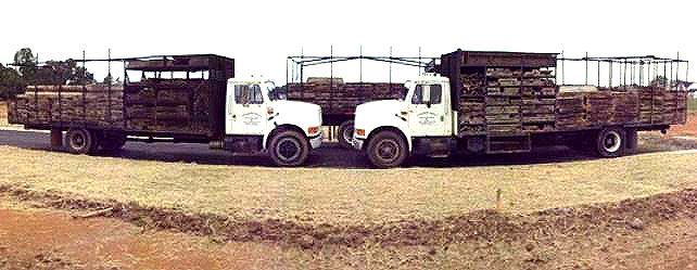 concrete trucks