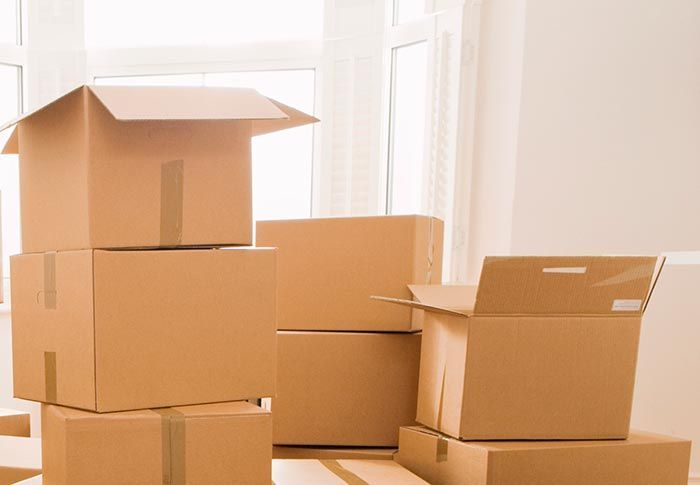 Fabricación de cajas de cartón