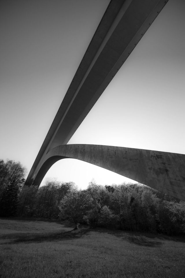 Natchez Trace | Franklin Driving Tours