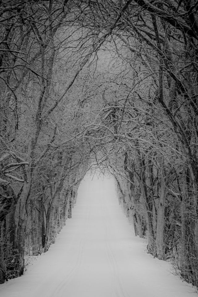 Snowy Hollow | Franklin Driving Tours