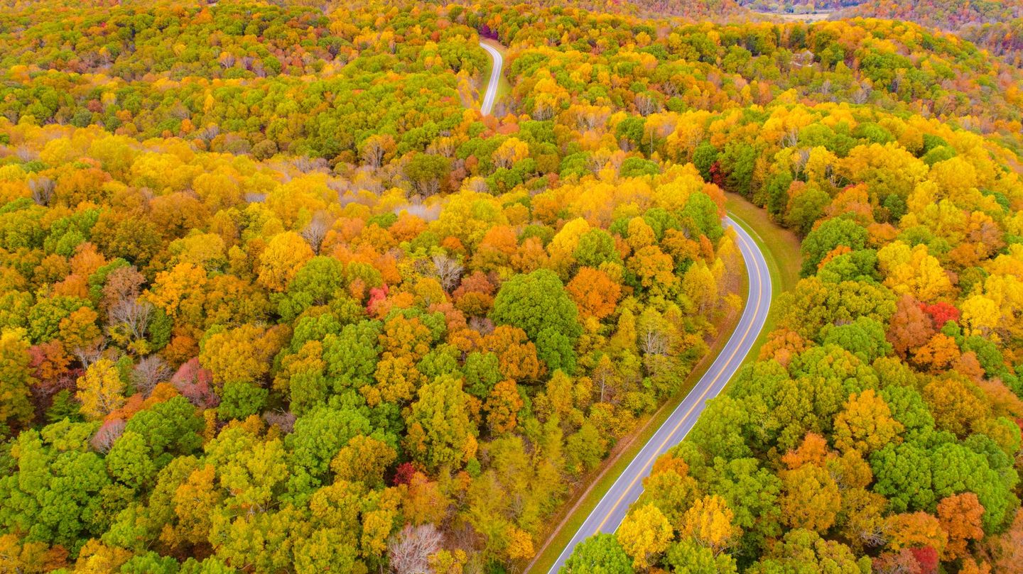 Natchez Parkway | Franklin Driving Tours