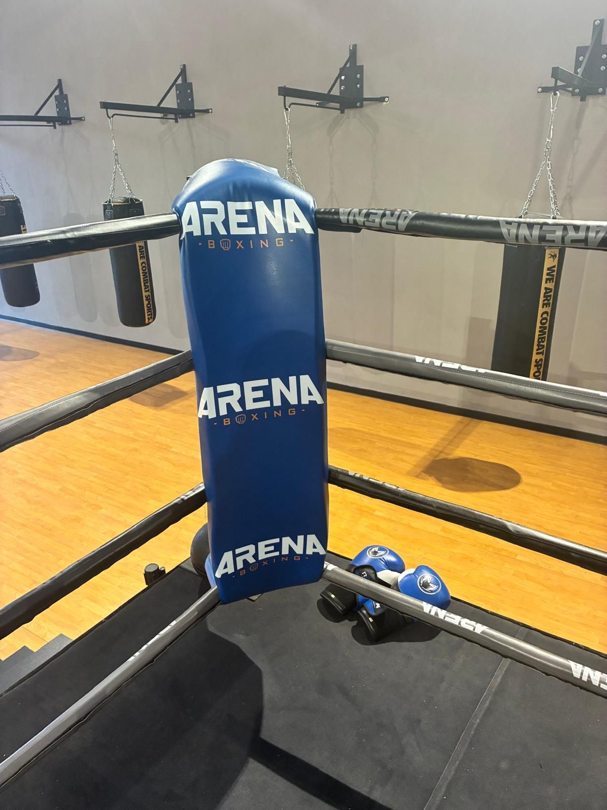 Angolo di un ring da boxe con imbottitura blu ARENA, corde e guantoni sul tatami all'interno di una palestra.