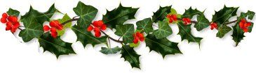 Christmas branch