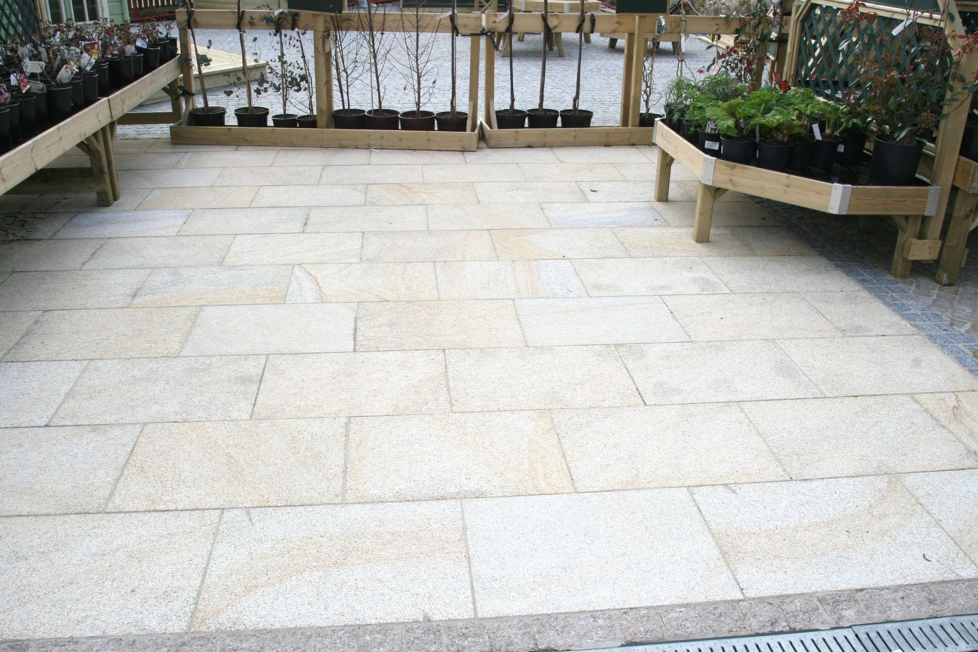 Yellow stone pavers in a garden center display area, surrounded by wooden plant shelving.